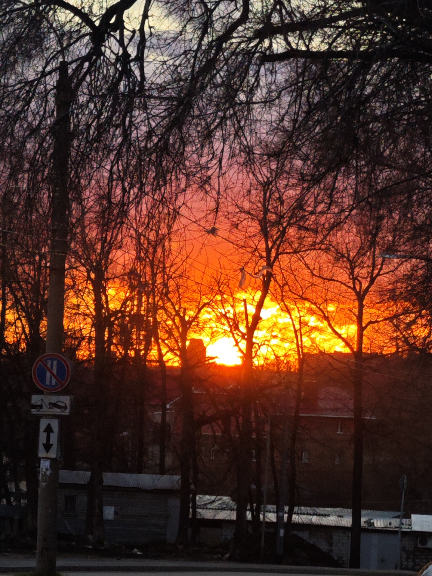 Sunset observed through bare trees in Samara, Russia