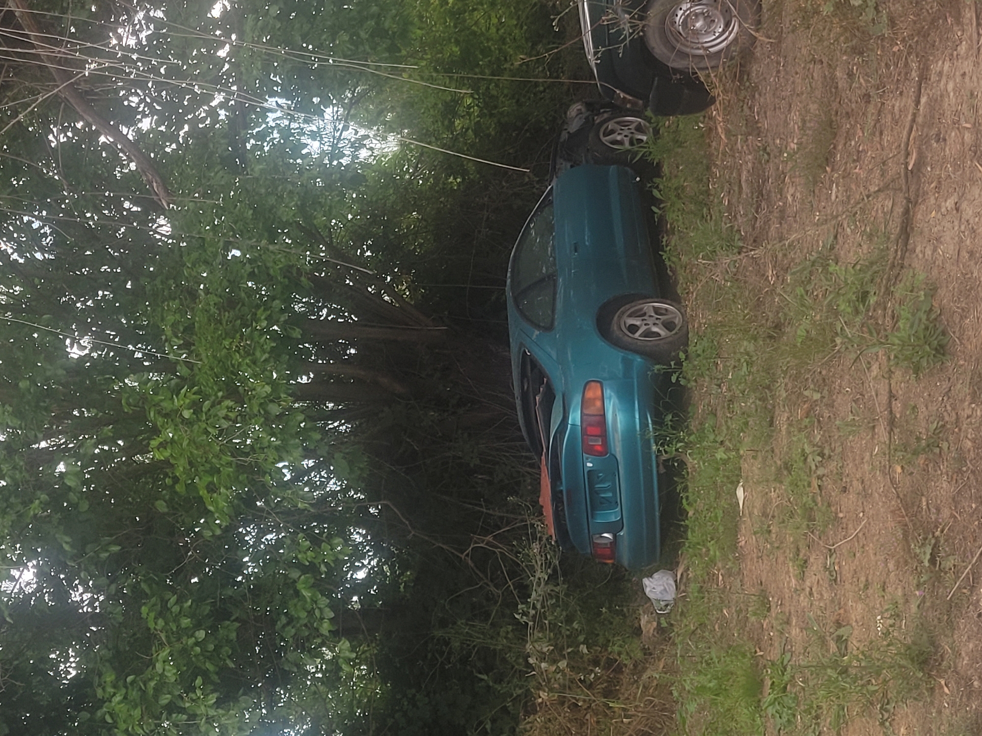 Abandoned cars spotted in wooded area near Andravida