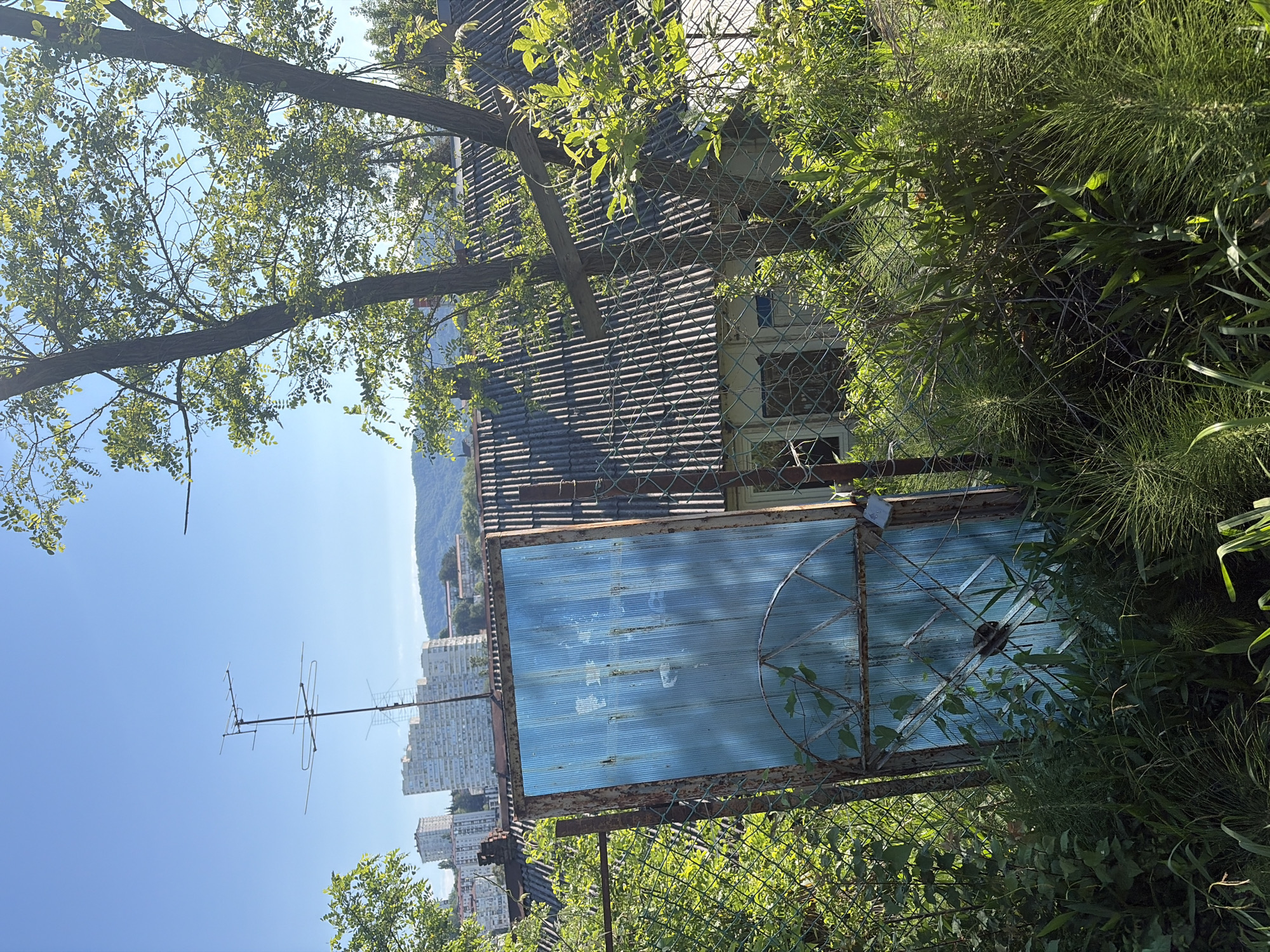 Morning walk documented through Sochi neighborhoods in six minutes