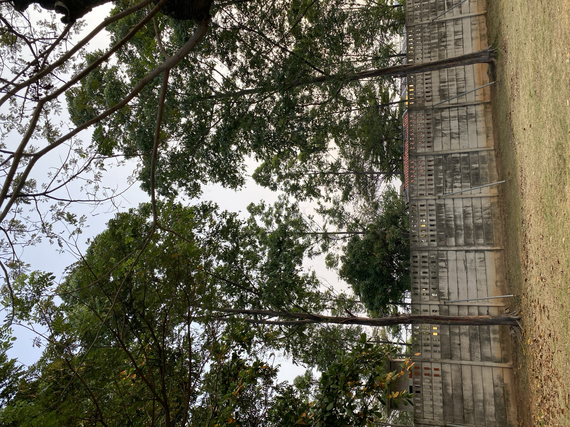 Morning scenes across a Jakarta urban park and its surroundings