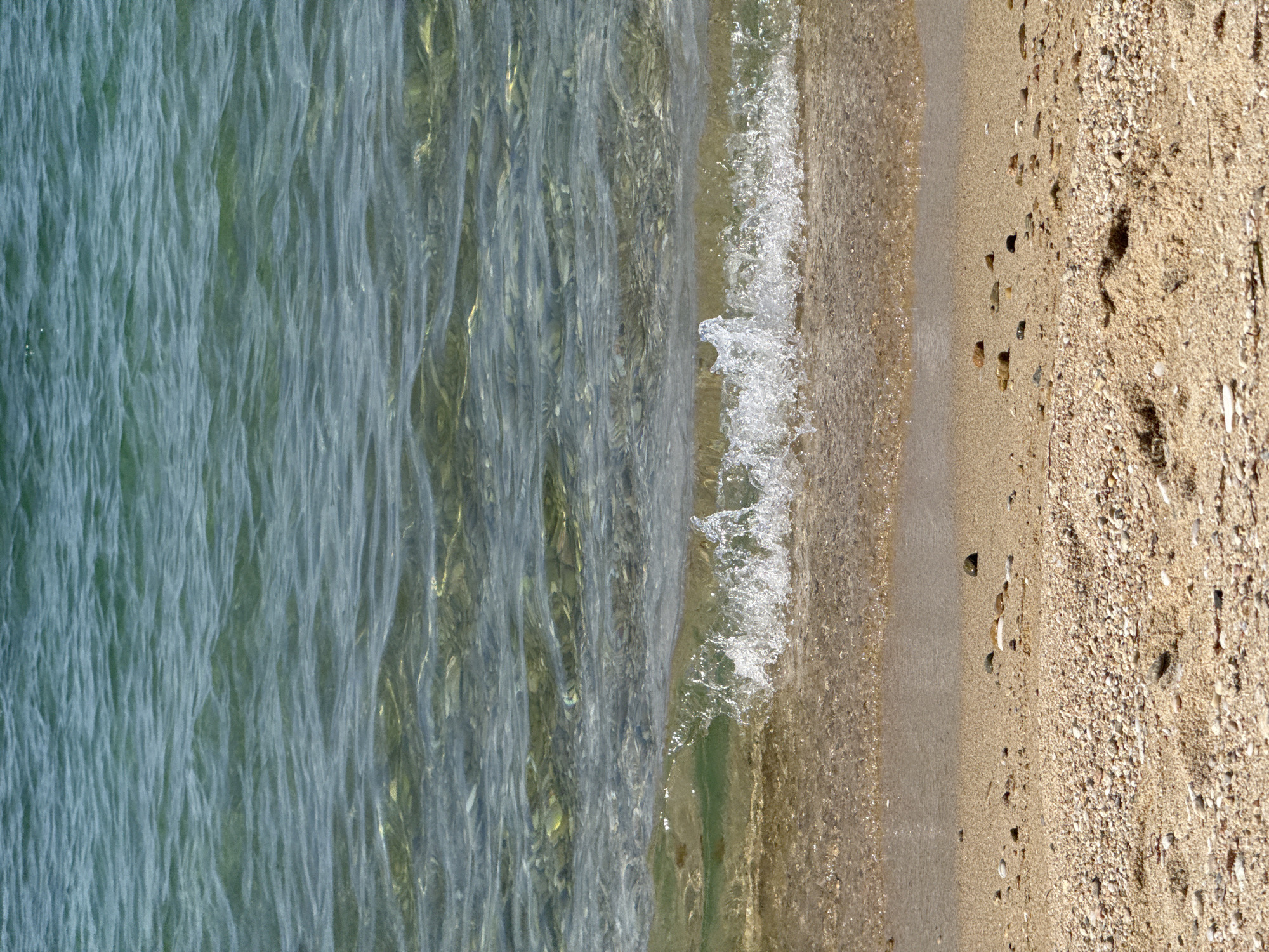 Beach umbrellas, shoreline textures, and flowering oleander on a July morning.