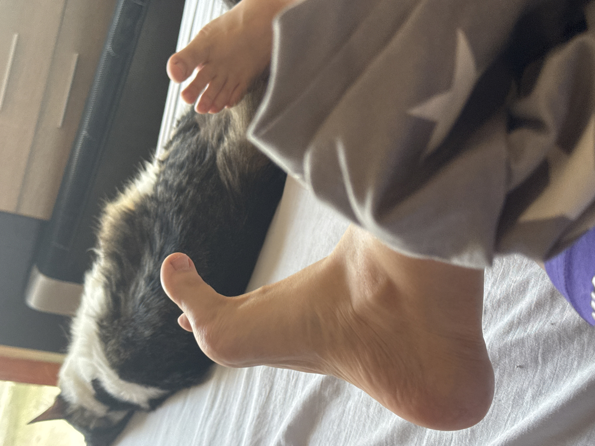 Lazy Sunday afternoon at home in Plovdiv