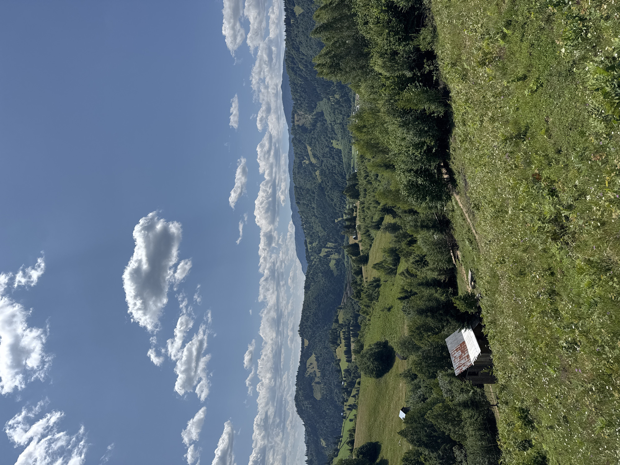 Rural hillside scenery near Dragoșa, Romania on a summer morning
