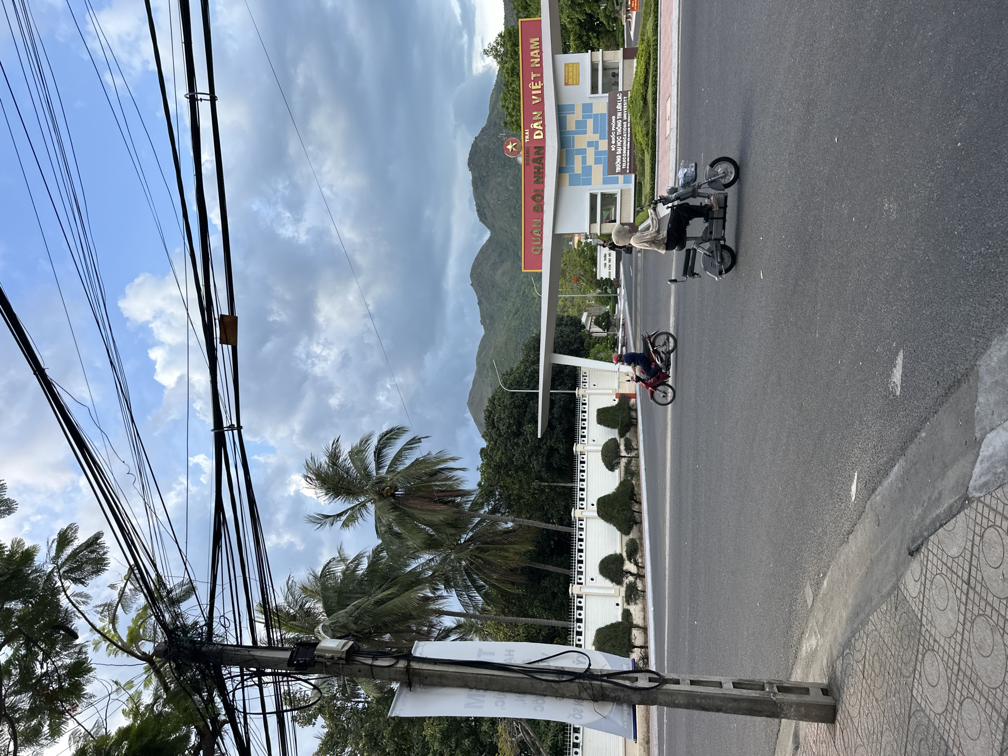 Street nurseries and everyday scenes in Nha Trang's northern ward