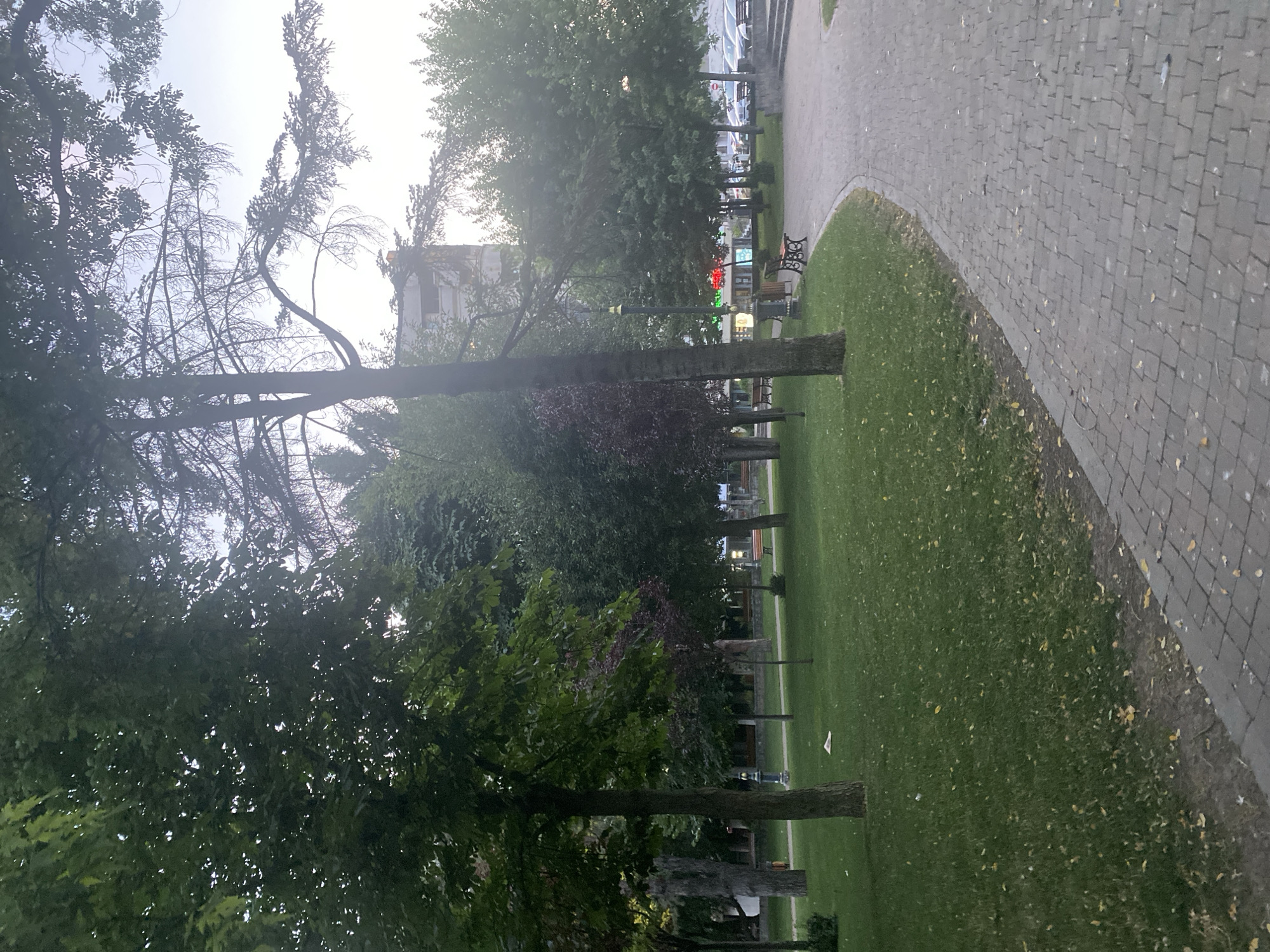 Evening stroll through a quiet park in Iași, Romania