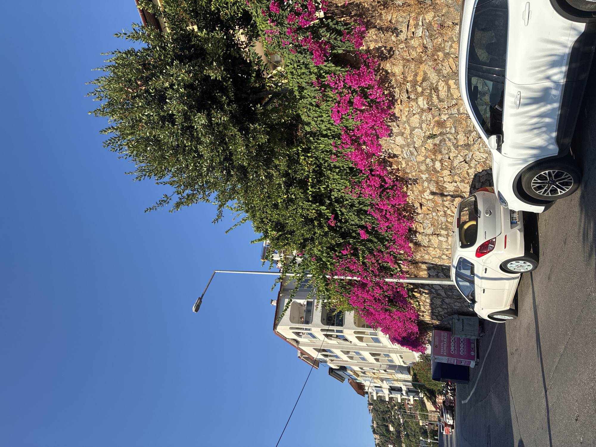 Morning stroll through Alanya's castle district with harbor views