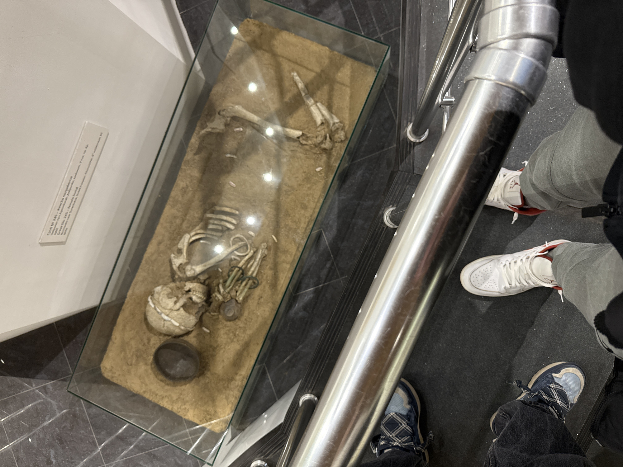 Archaeological skeleton exhibit documented in Sofia museum display