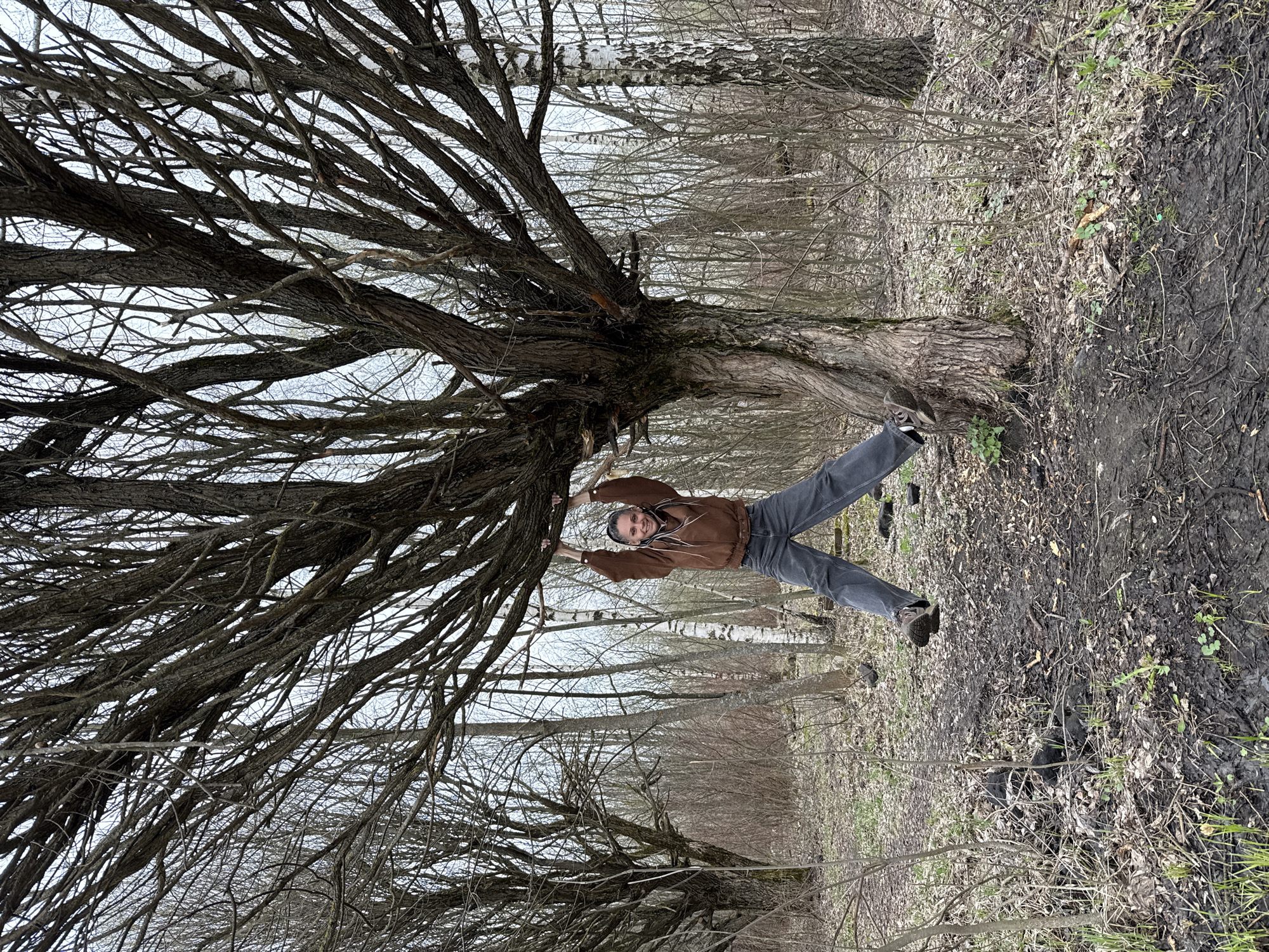 Person spotted hanging from tree in Russian woodland