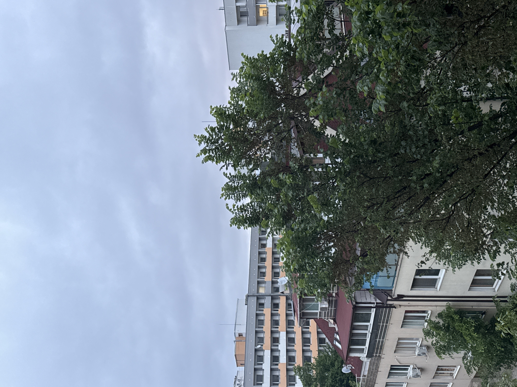Urban observations captured across Sofia during overcast afternoon