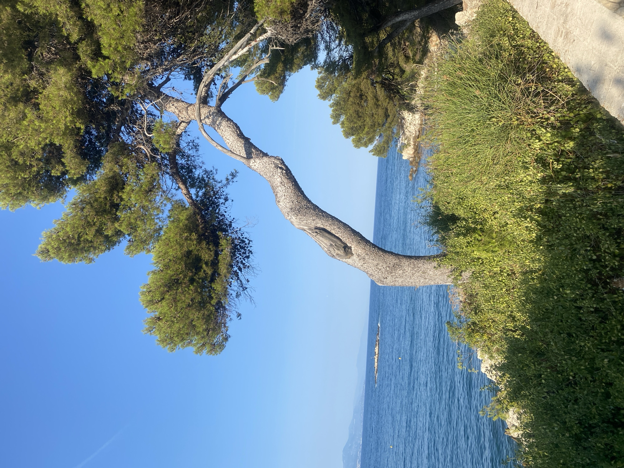 Antibes coastline and backstreets on a summer afternoon