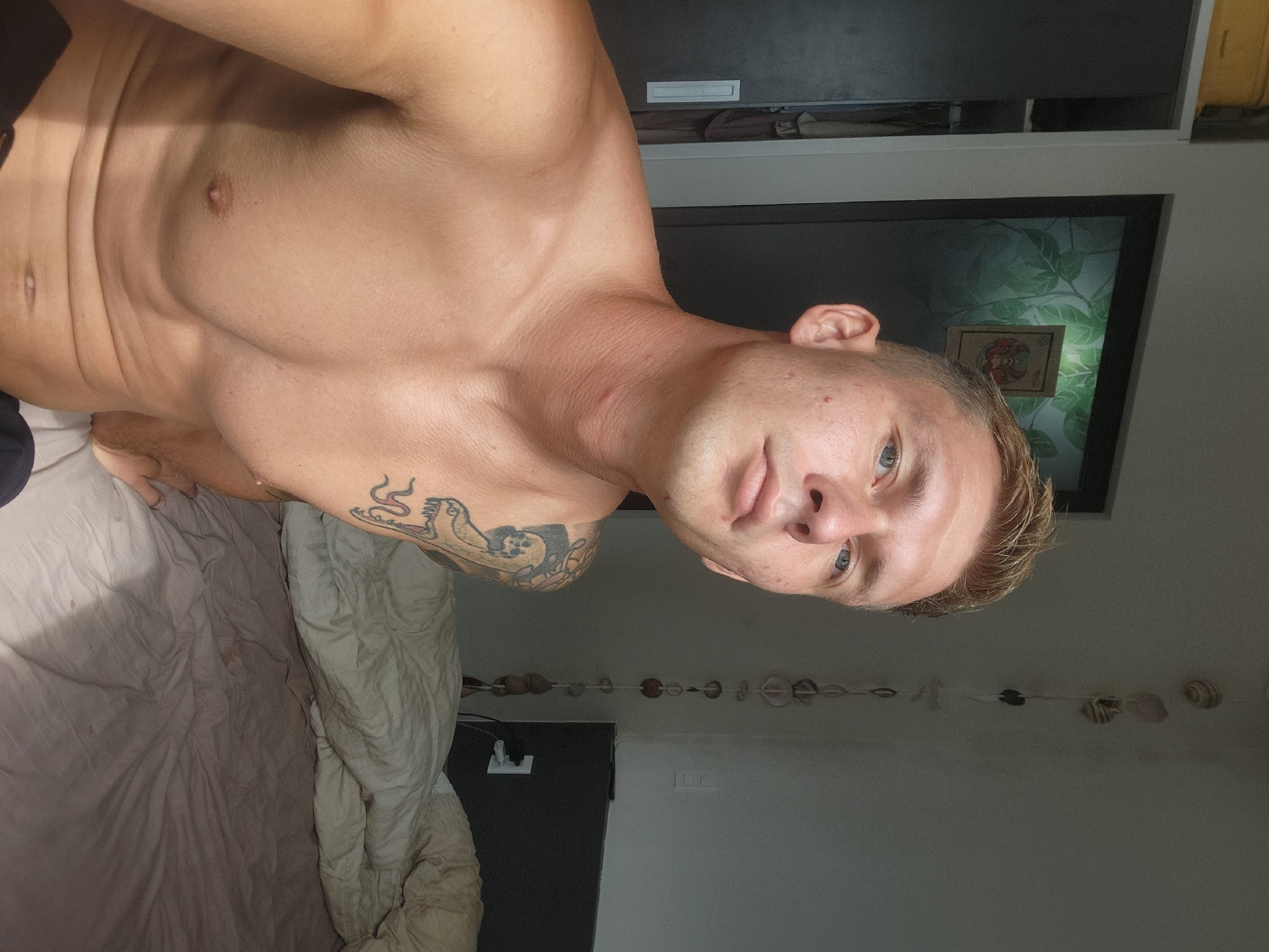 Lazy afternoon indoors with a poodle and a tattooed roommate