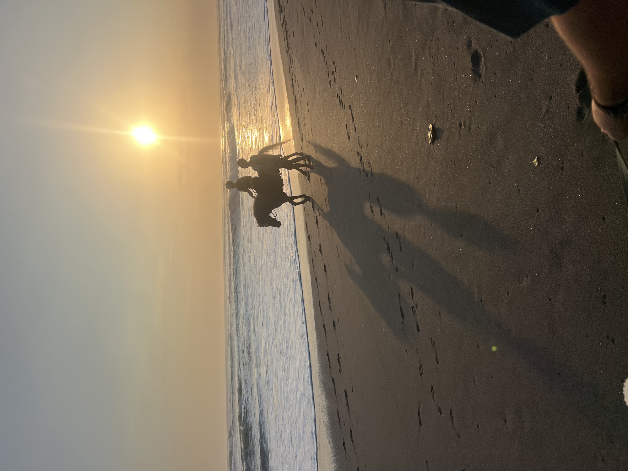 Sunset beach in Bali: horses, surfers, dogs, and temple views