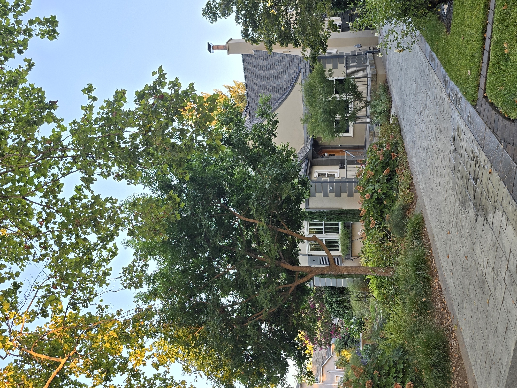 Traditional homes on a tree-lined residential street, summer afternoon.