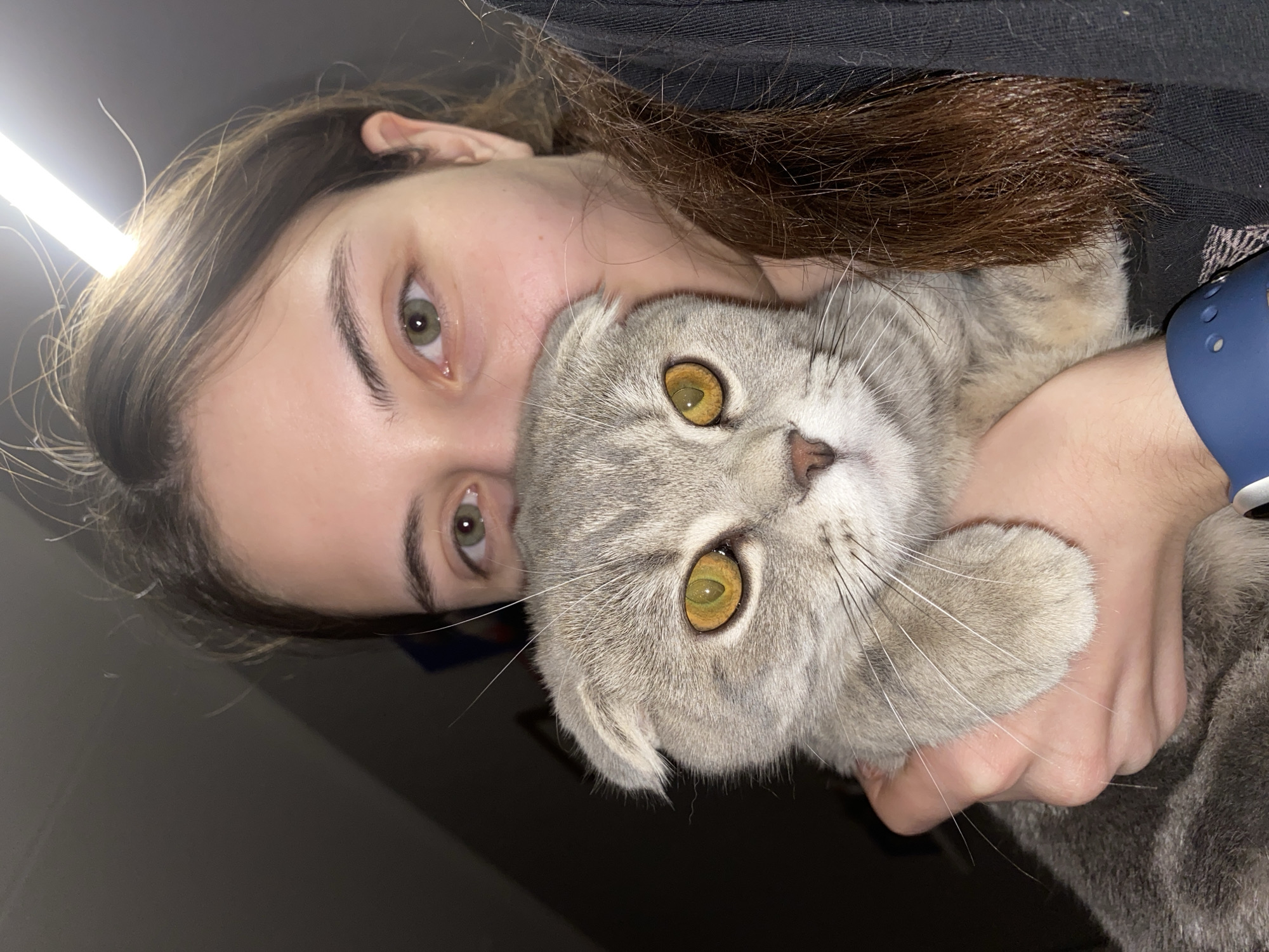 Pet owner documents chinchilla and cat photography session in Votkinsk