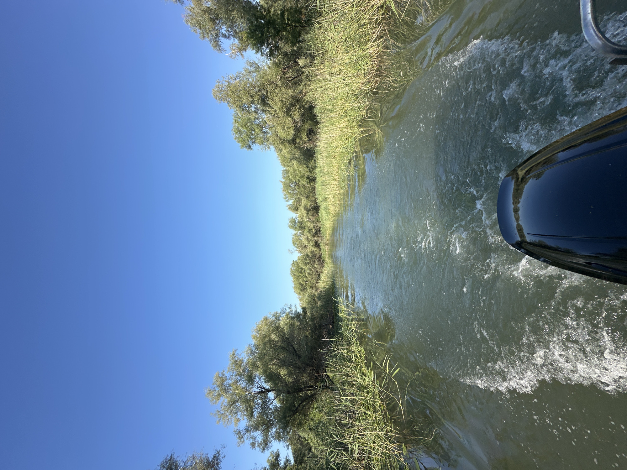 Slow boat passage through a lush Montenegrin river channel