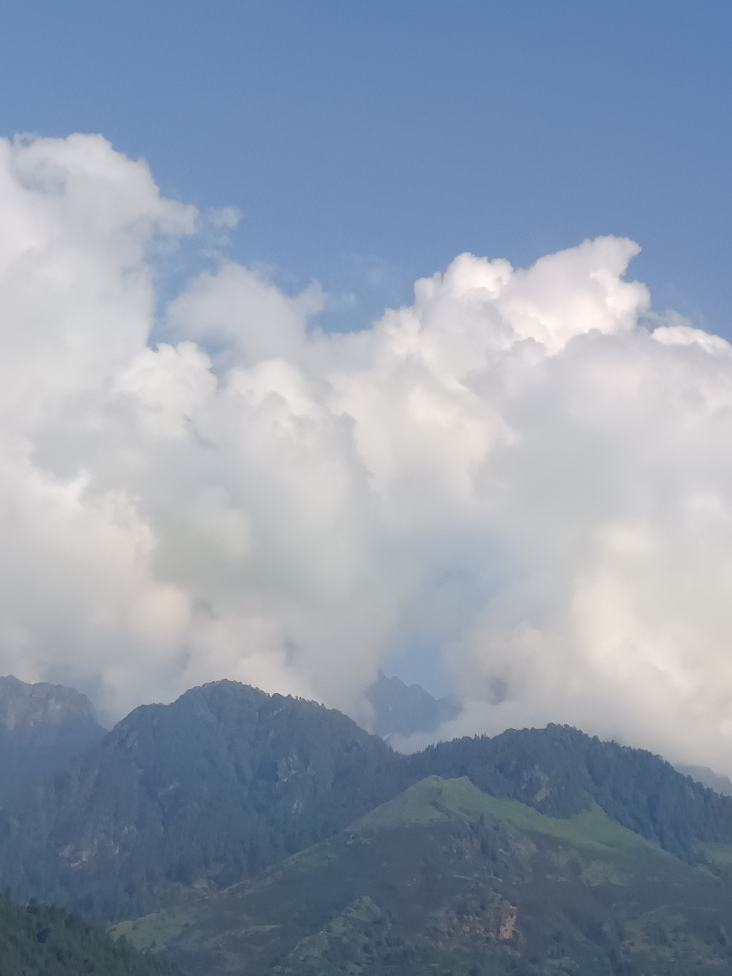 Cloudy mountain views over forested hills near Vashisht