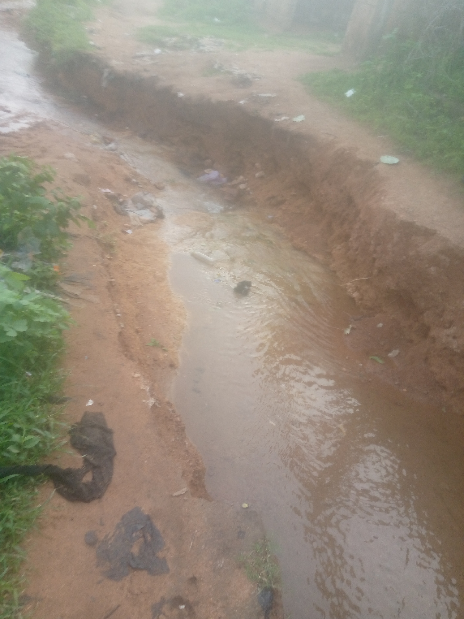 Morning street scenes documented across Jalingo, Nigeria