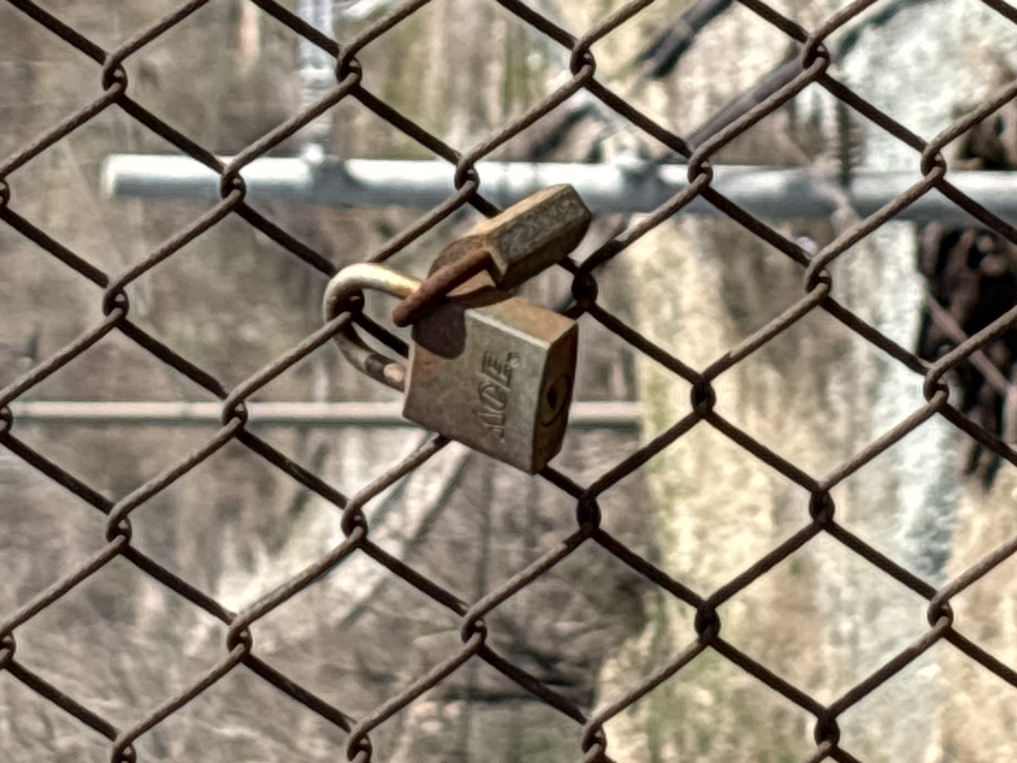 Morning observations capture Sofia street scenes, fencing, cats, resident