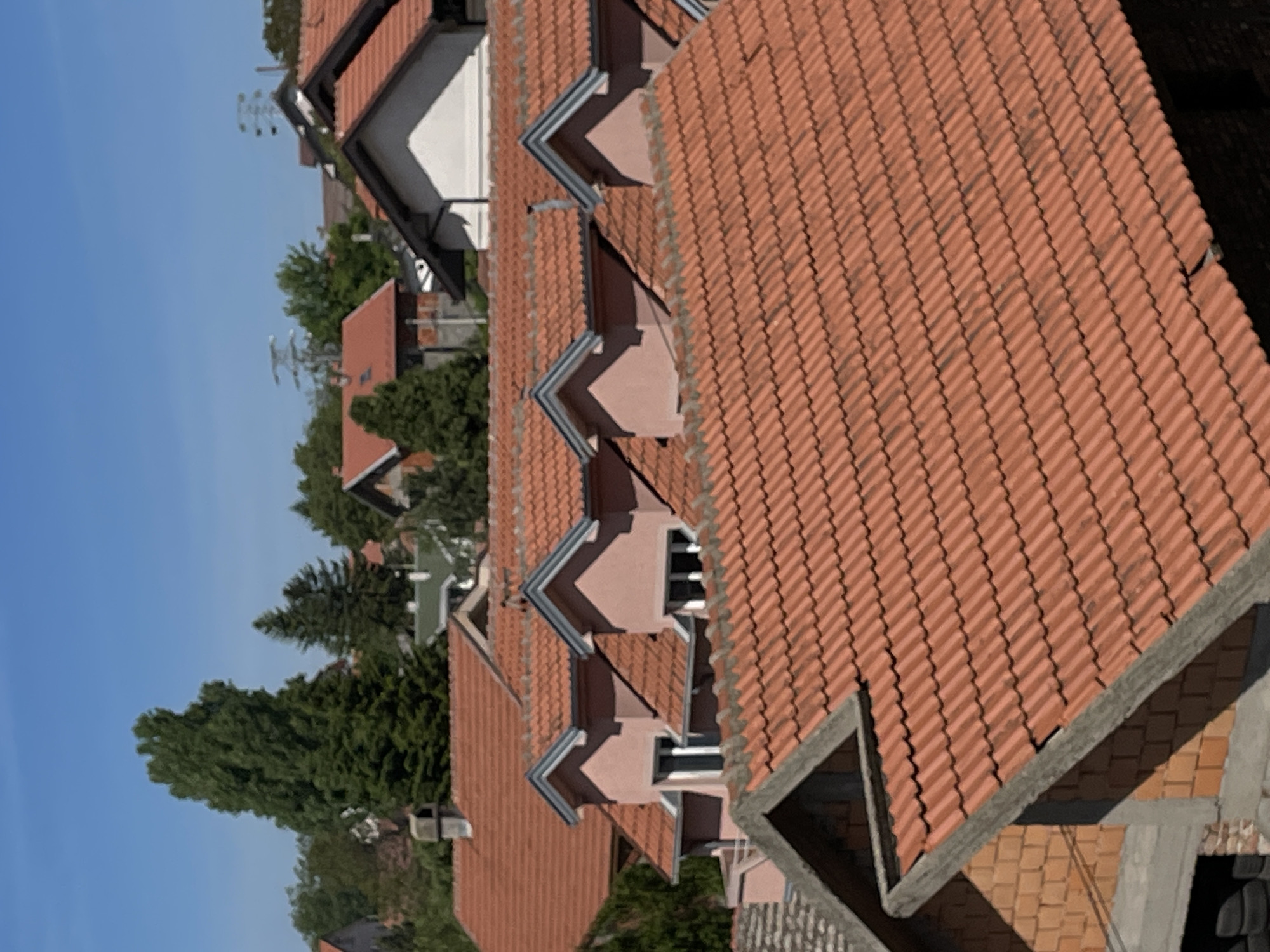 Belgrade's orange terracotta rooftops captured in daylight photograph