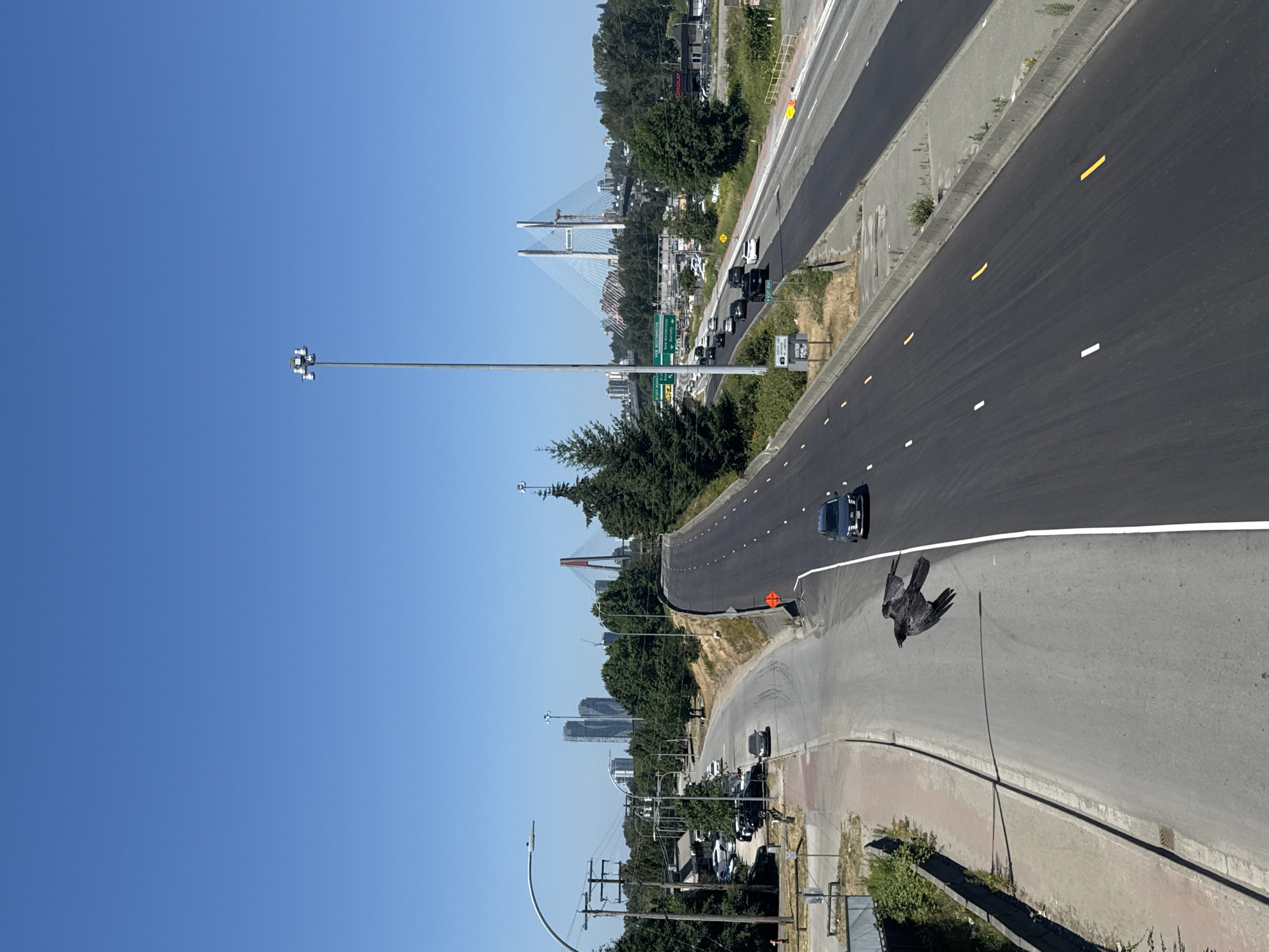 Scott Road Station and Surrey highway interchange on a sunny afternoon