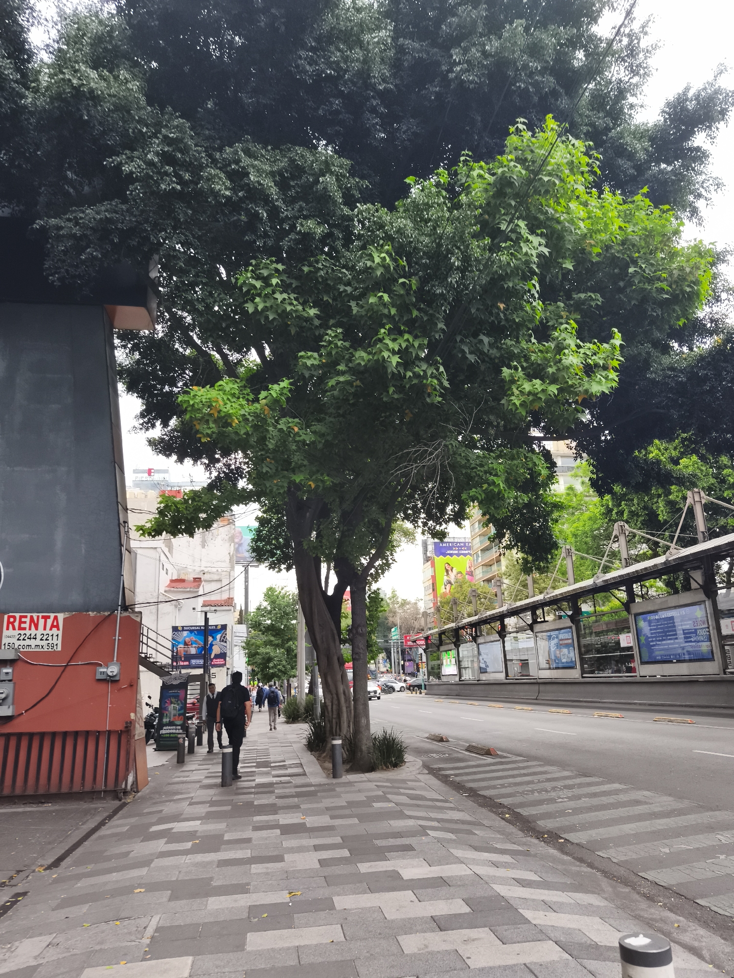 Daily life documented across Mexico City streets and transit