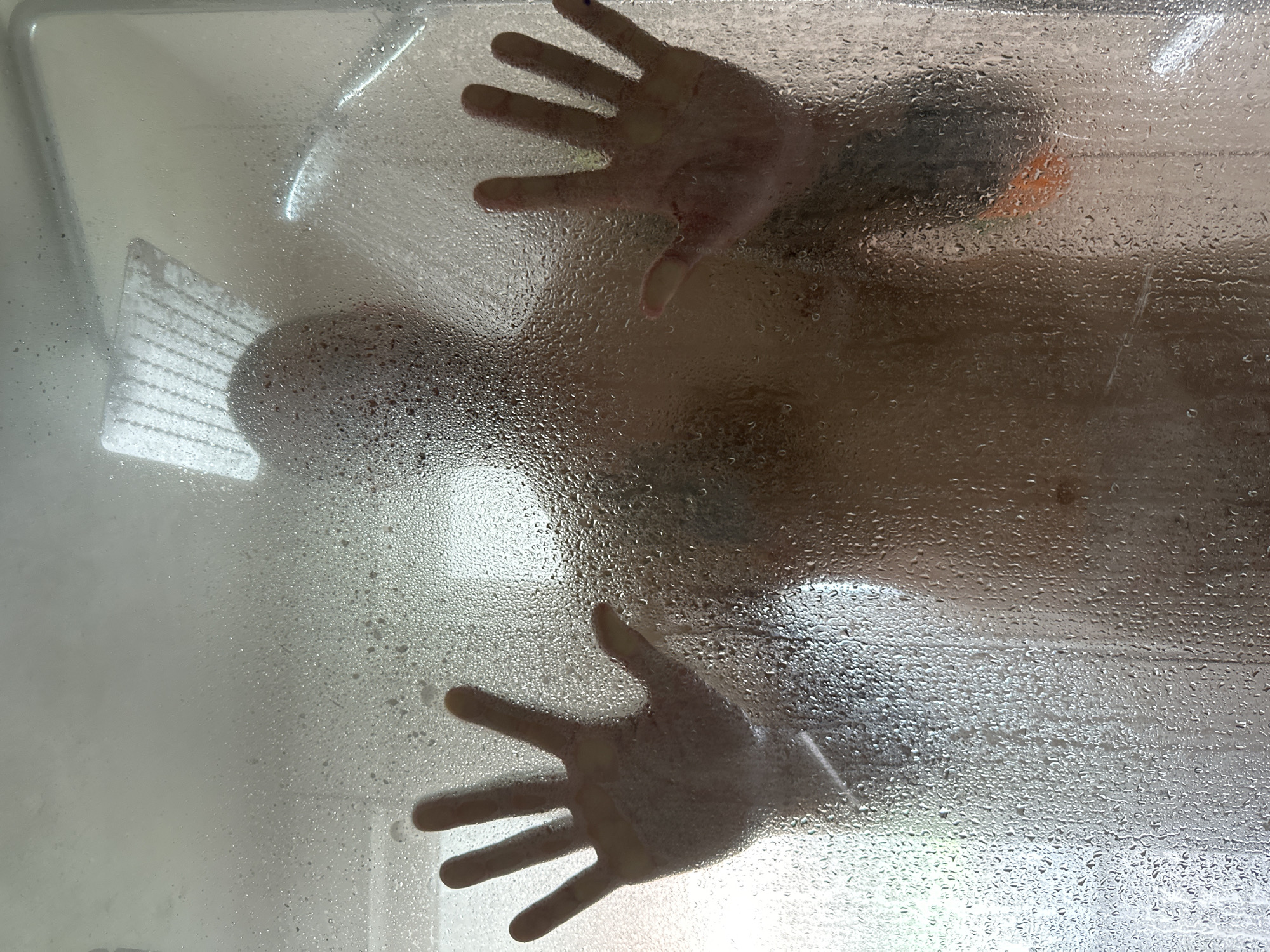 Person observed showering through frosted glass in Heinebach