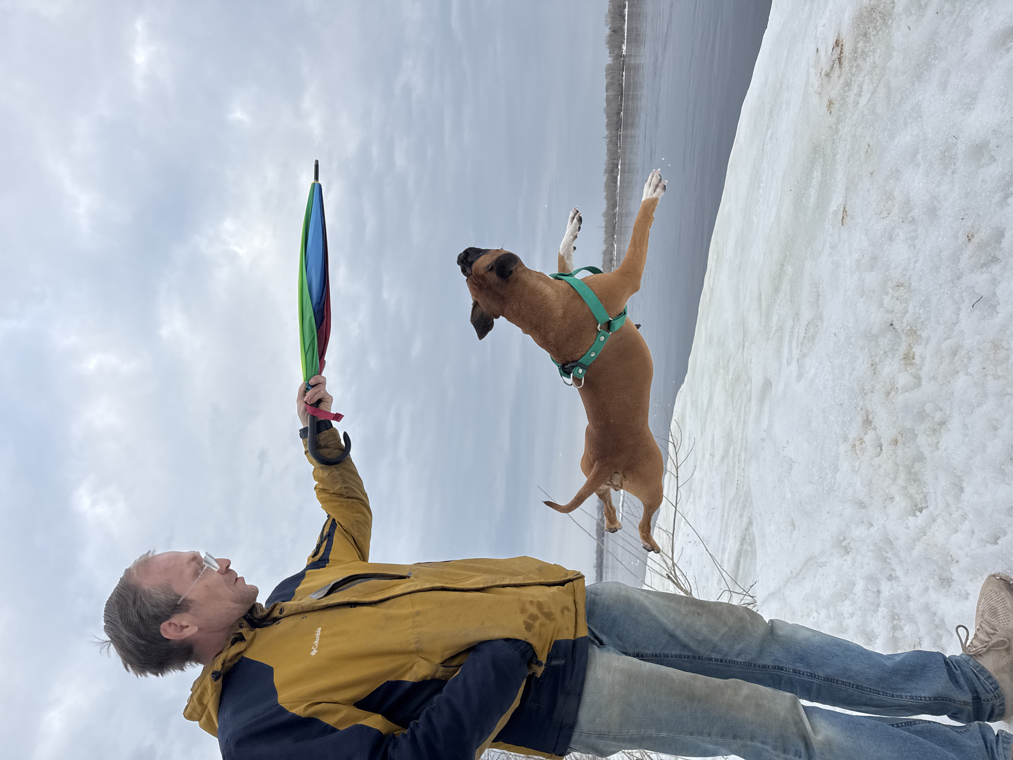 Couple with colorful umbrellas photographed outdoors in Russian snow