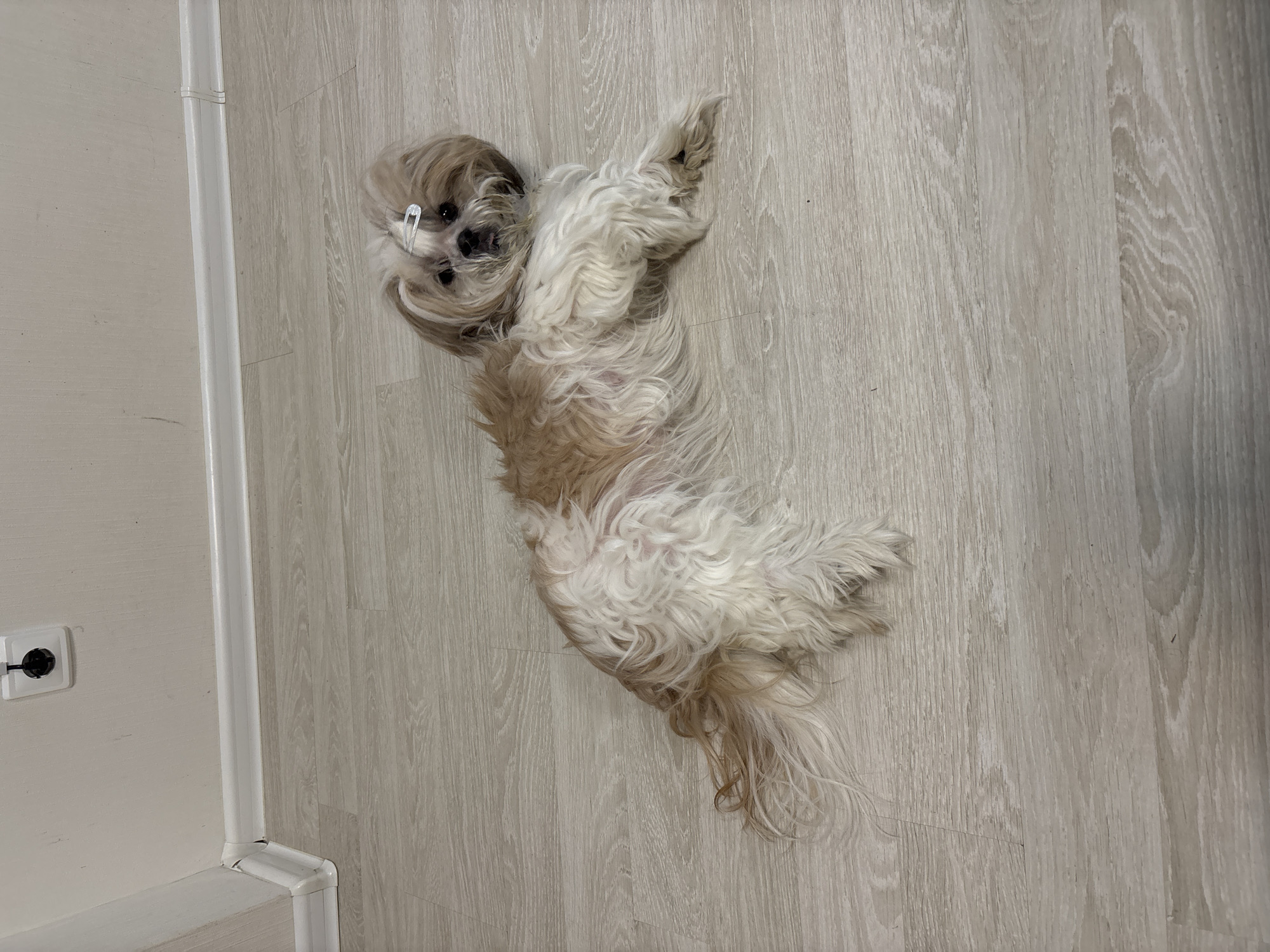 Casual home moments captured across Izhevsk region