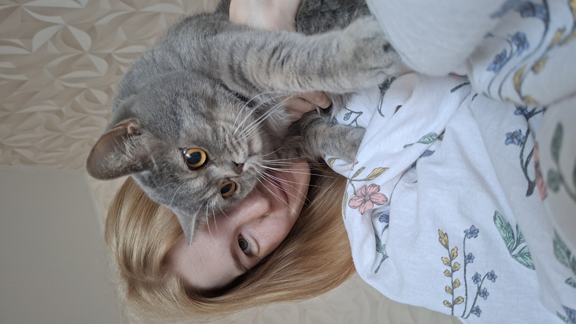 Cozy morning at home with a grey cat in Chaikovsky