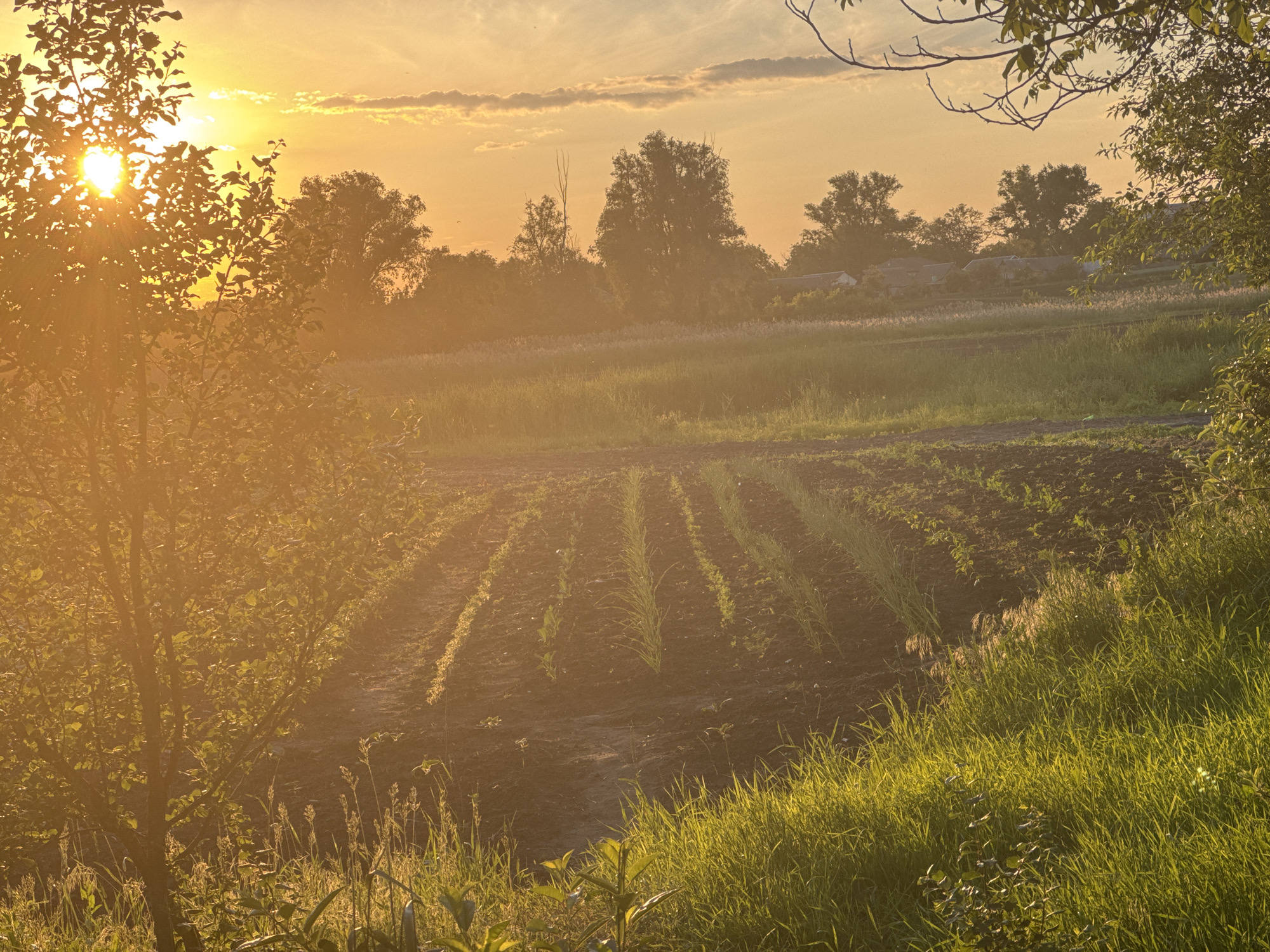 Person observed in rural settings during golden hour