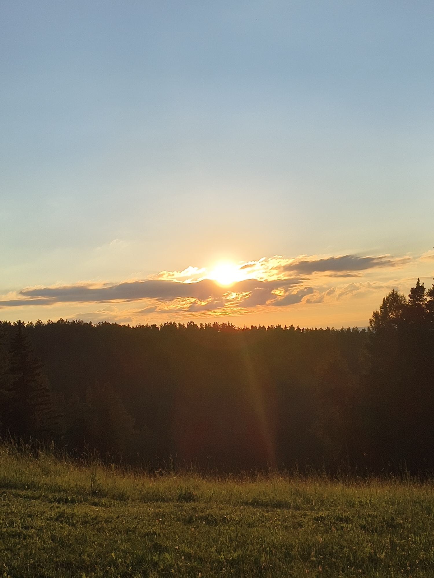 Golden hour bike outing at a forested hillside retreat