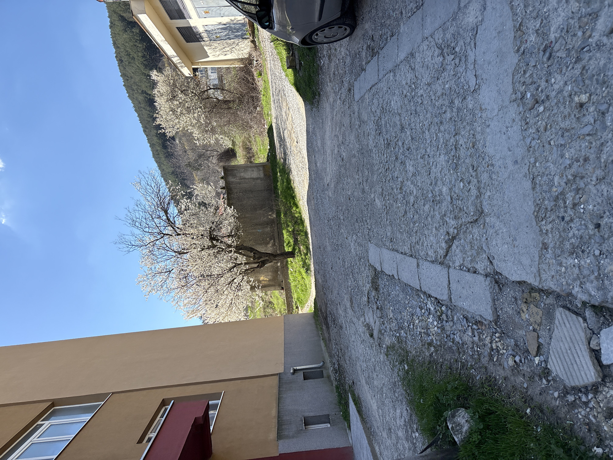 Spring blooms documented in urban Shumen, Bulgaria