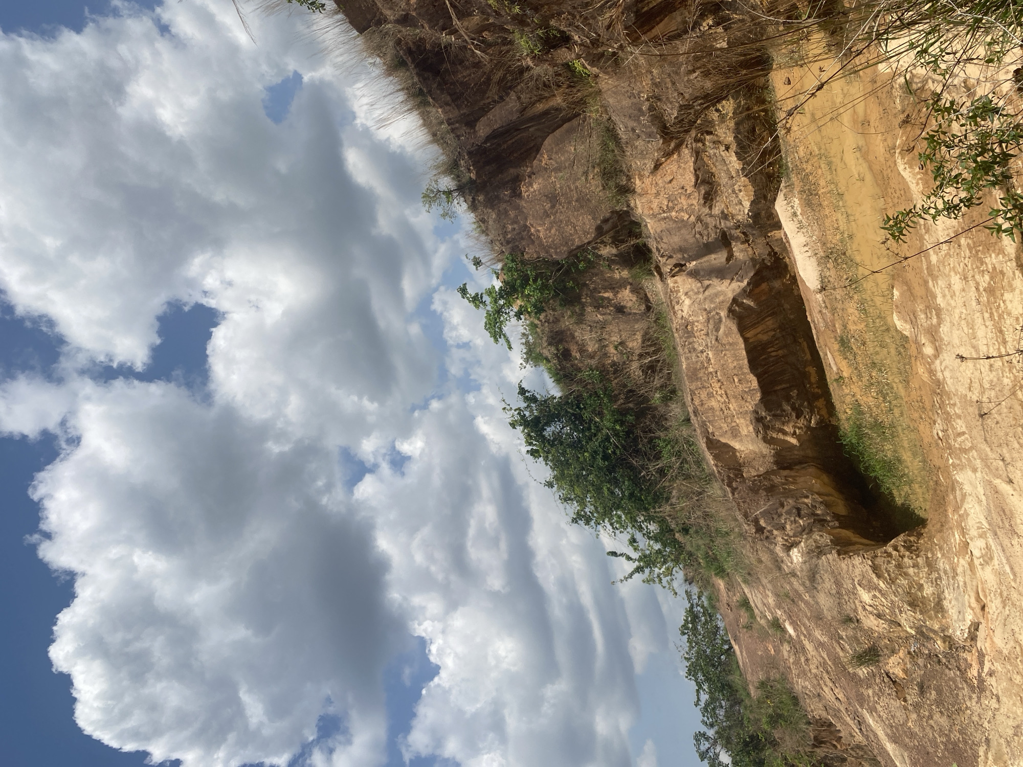 Nature documentation captures quarry wildlife and village views in Achara