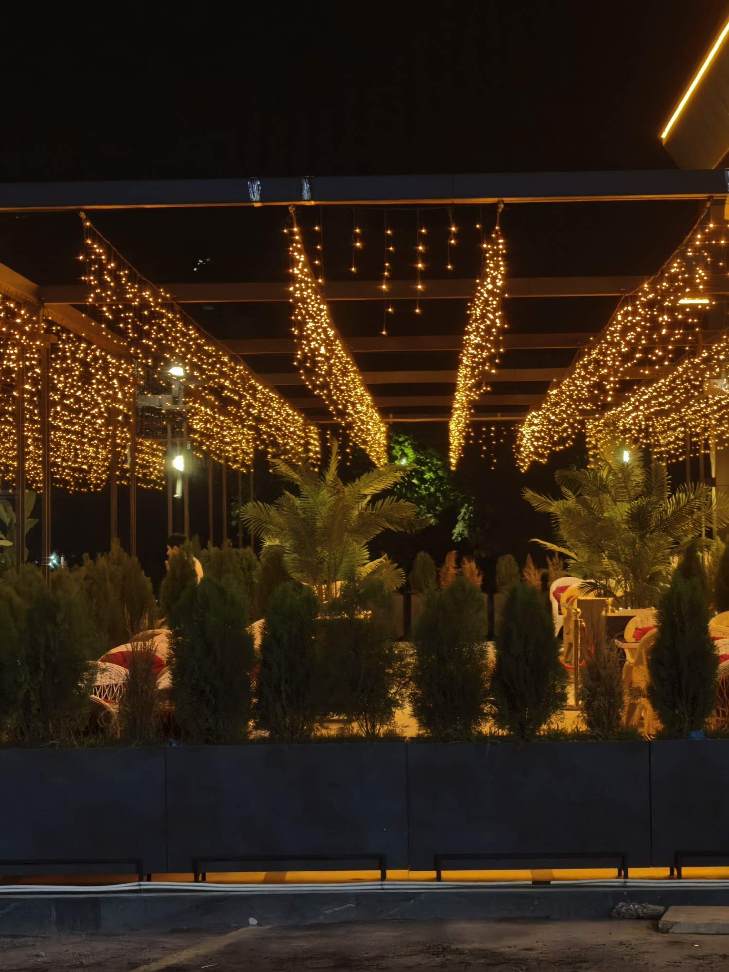 Warm fairy lights and modern planters on a Fergana night out