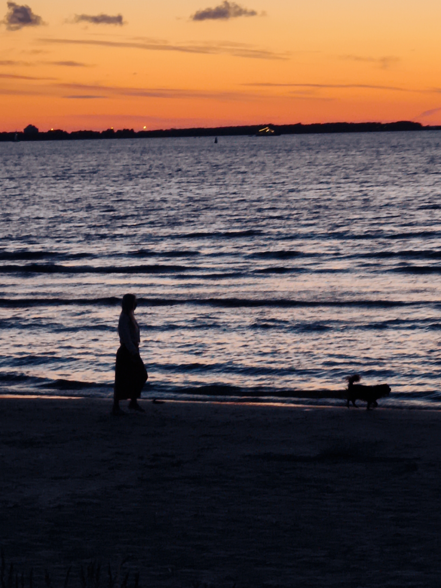 Sunset walk on a calm Estonian beach, dog in tow