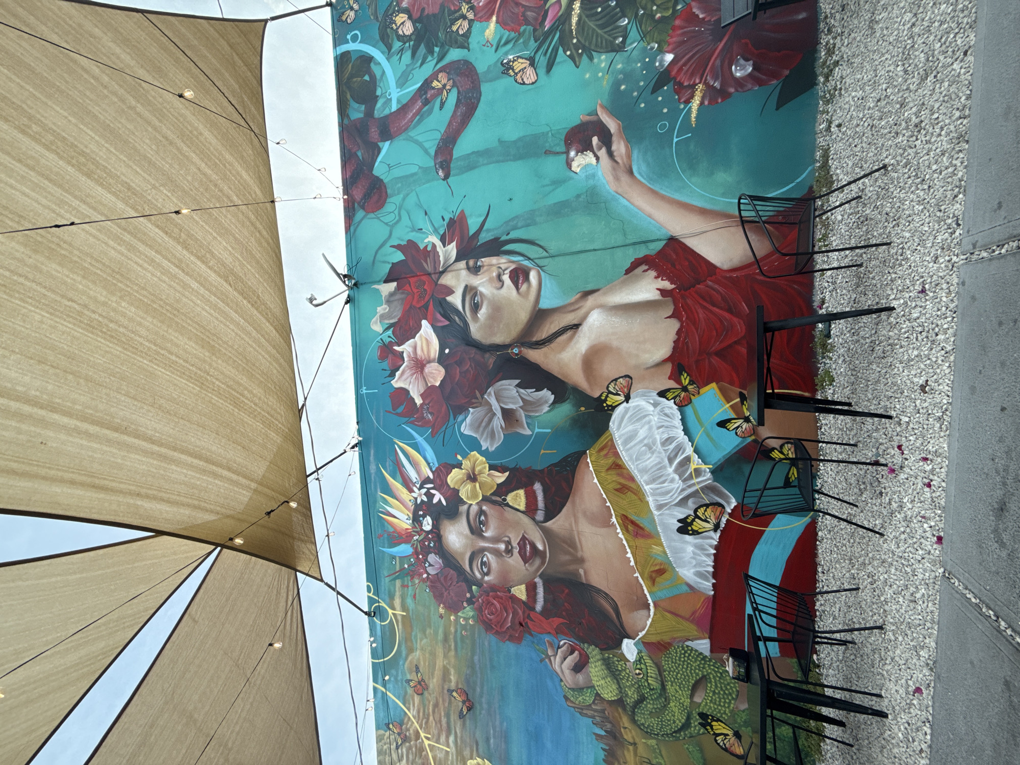 Art installations documented at Hollywood patio location