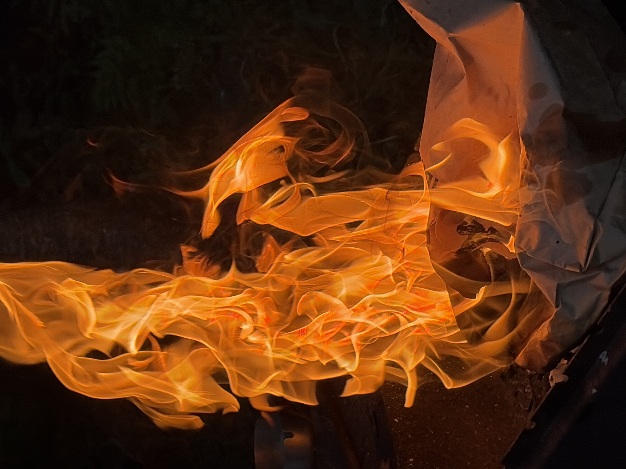 Backyard barbecue gathering documented in Snegiryovka, Russia
