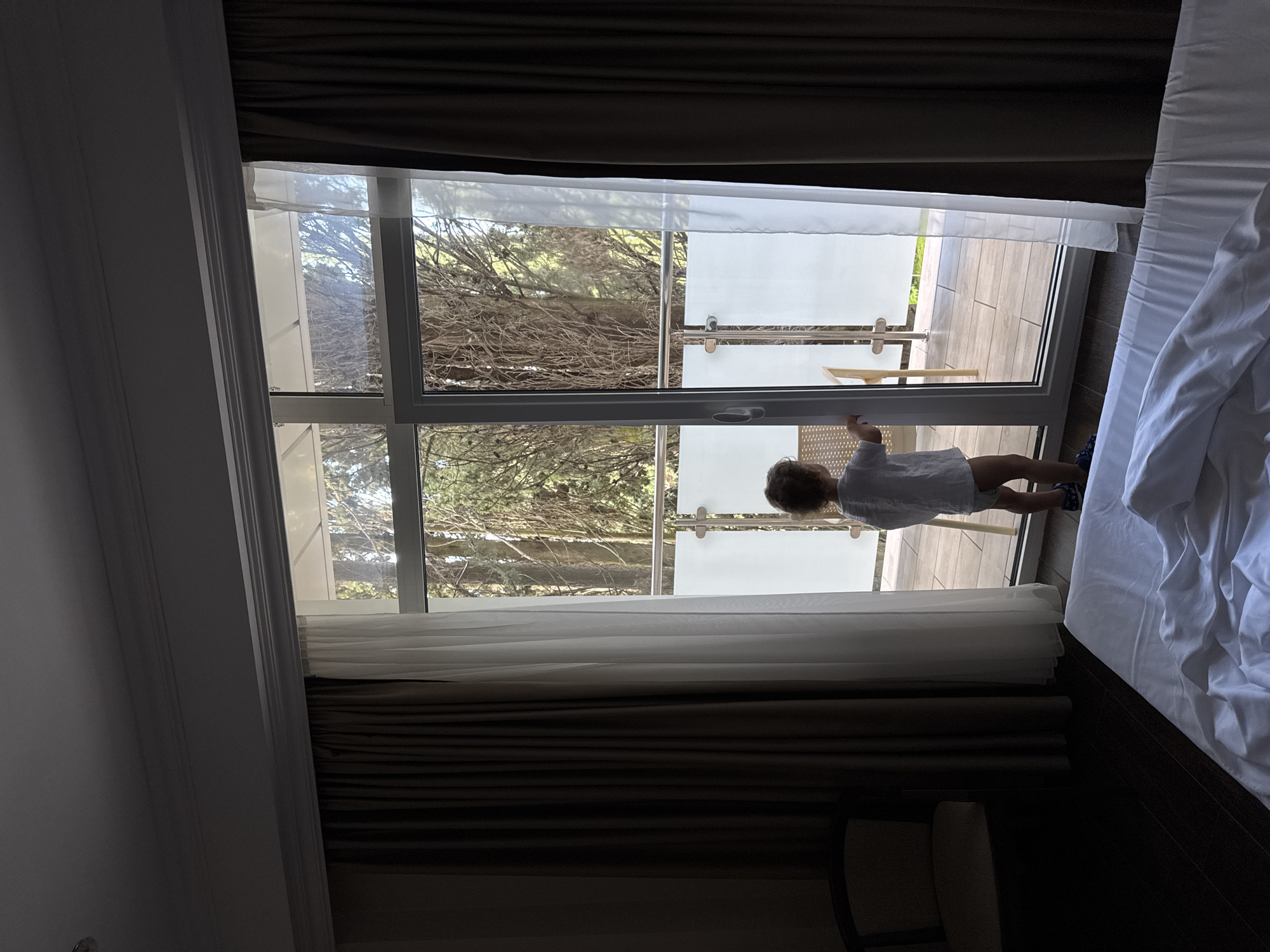 Domestic morning scenes documented in Gagra residential setting