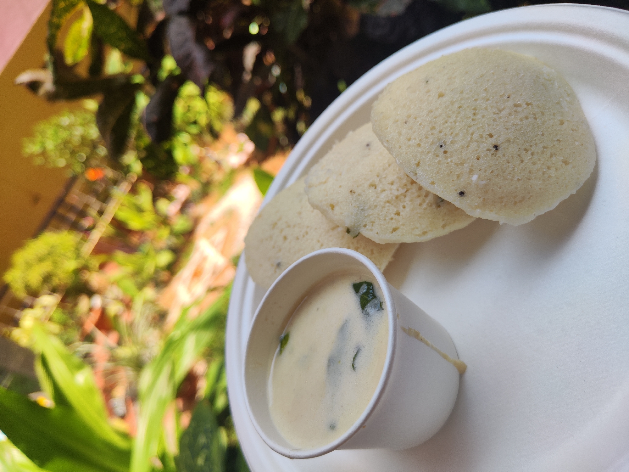 Morning life documented in Puttaparthi: food, commerce, nature