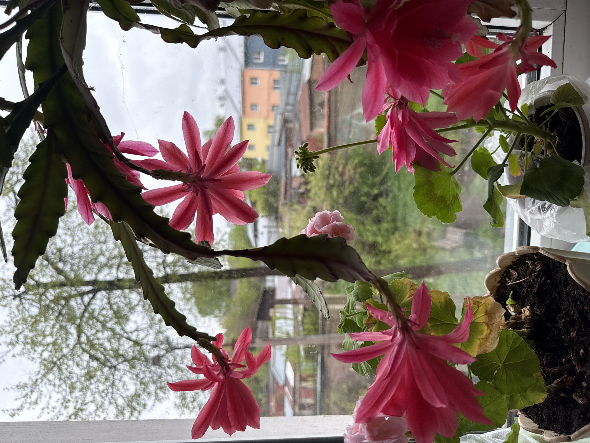 Indoor photograph captures residential view in Votkinsk, Russia