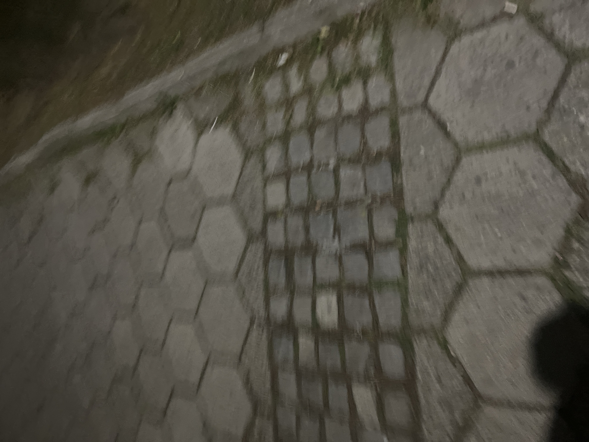 Evening stroll captured through park pathways in Blagoevgrad, Bulgaria