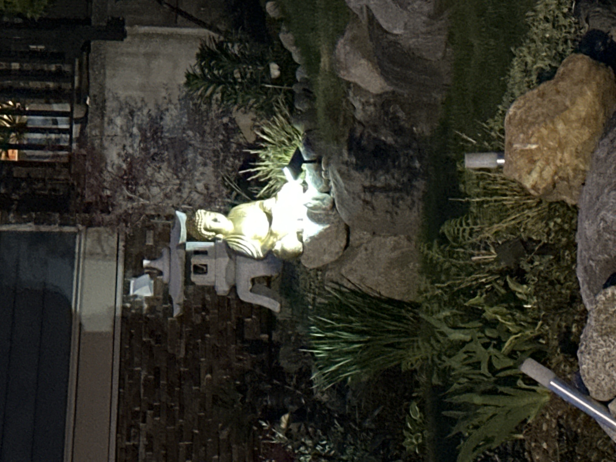 Nighttime garden with pagoda, Buddha statue observed in Coquitlam
