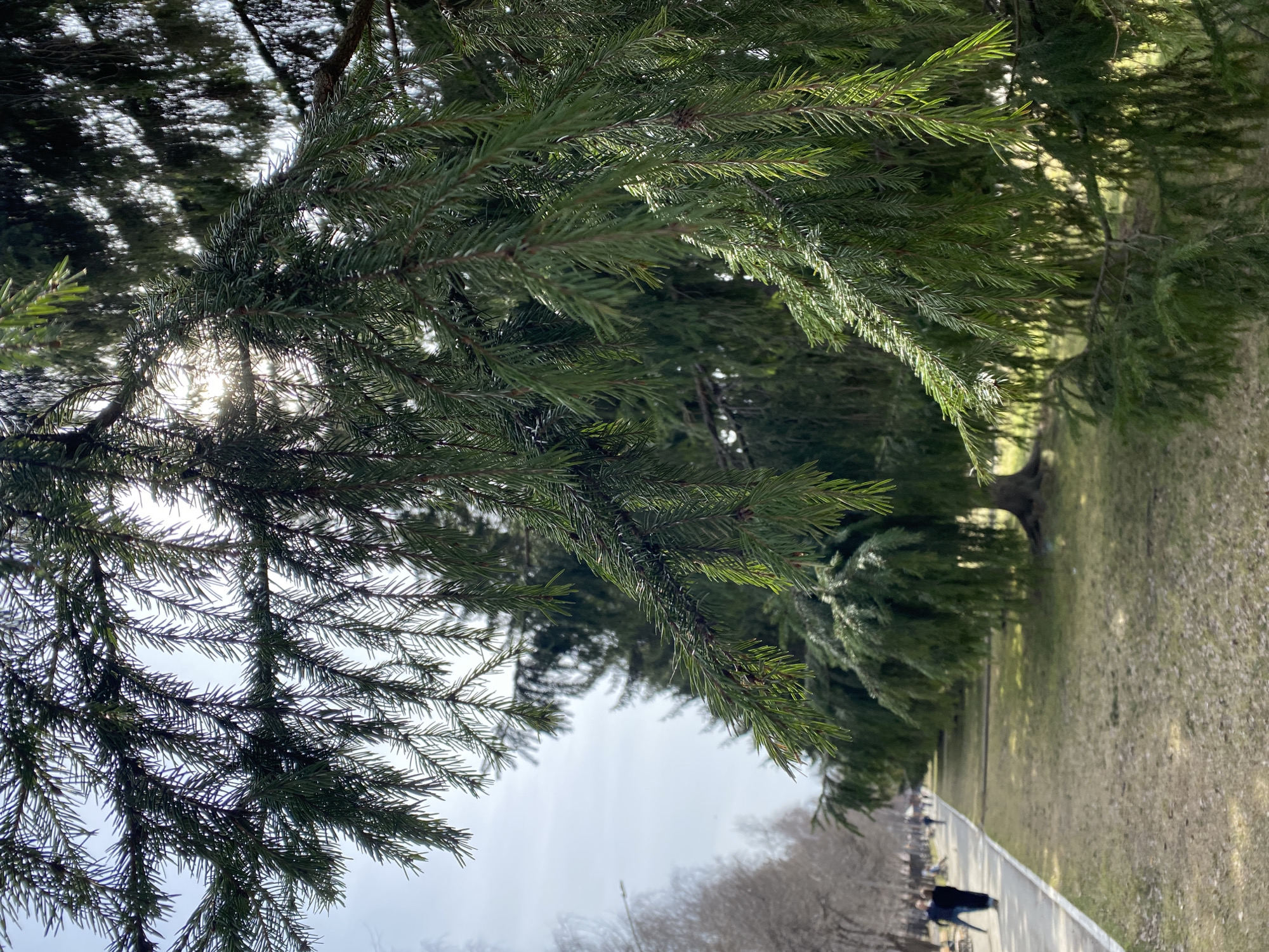 Morning scenes documented across Yekaterinburg, Russia