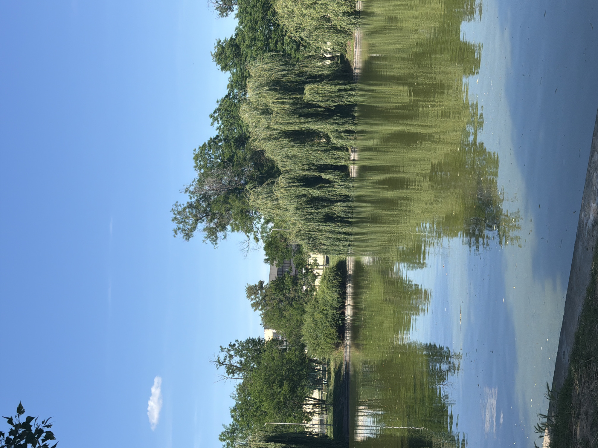 Witness captures serene lakeside park scenes over 39 minutes
