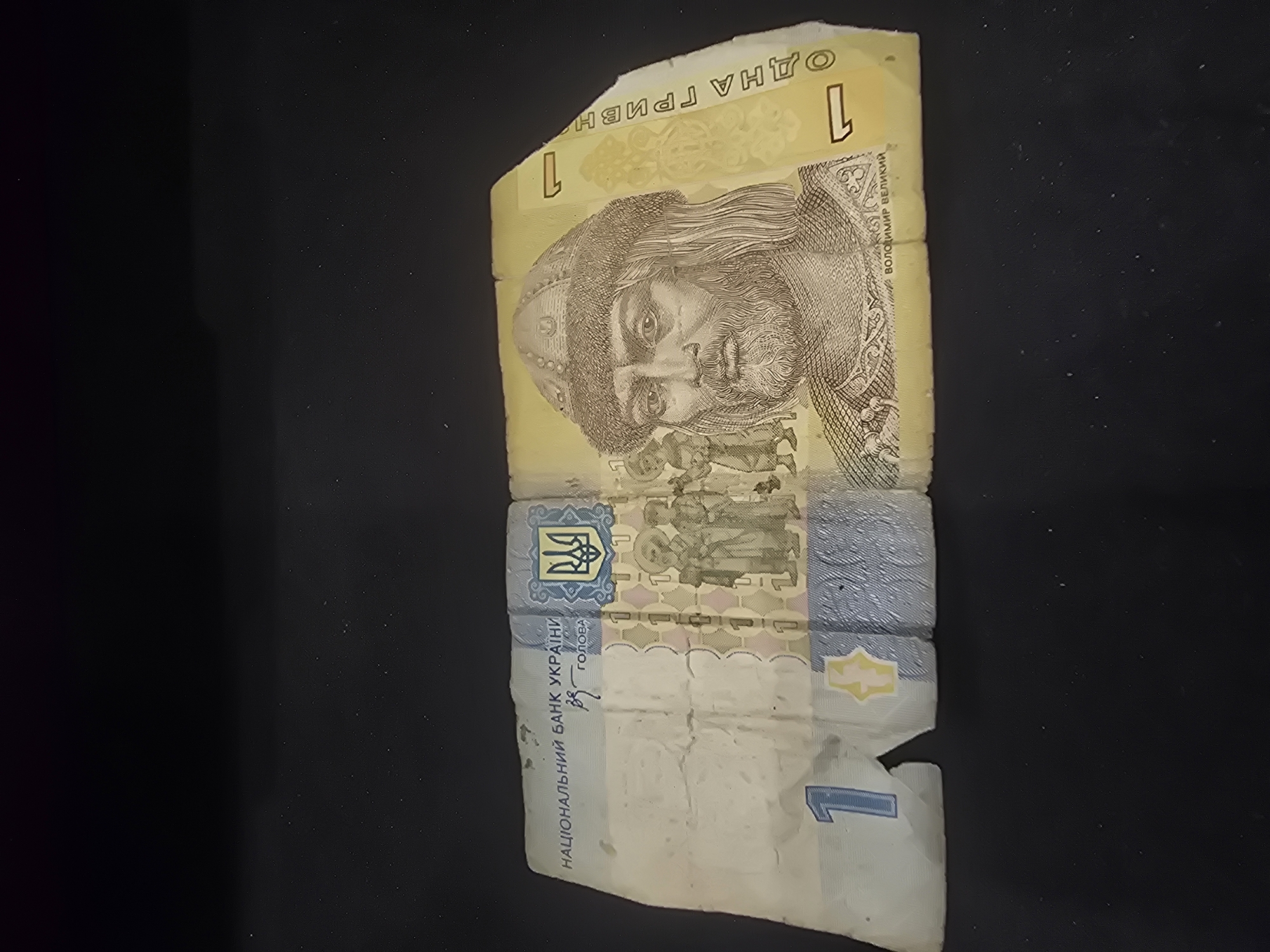 Ukrainian banknotes and coins laid out for close inspection