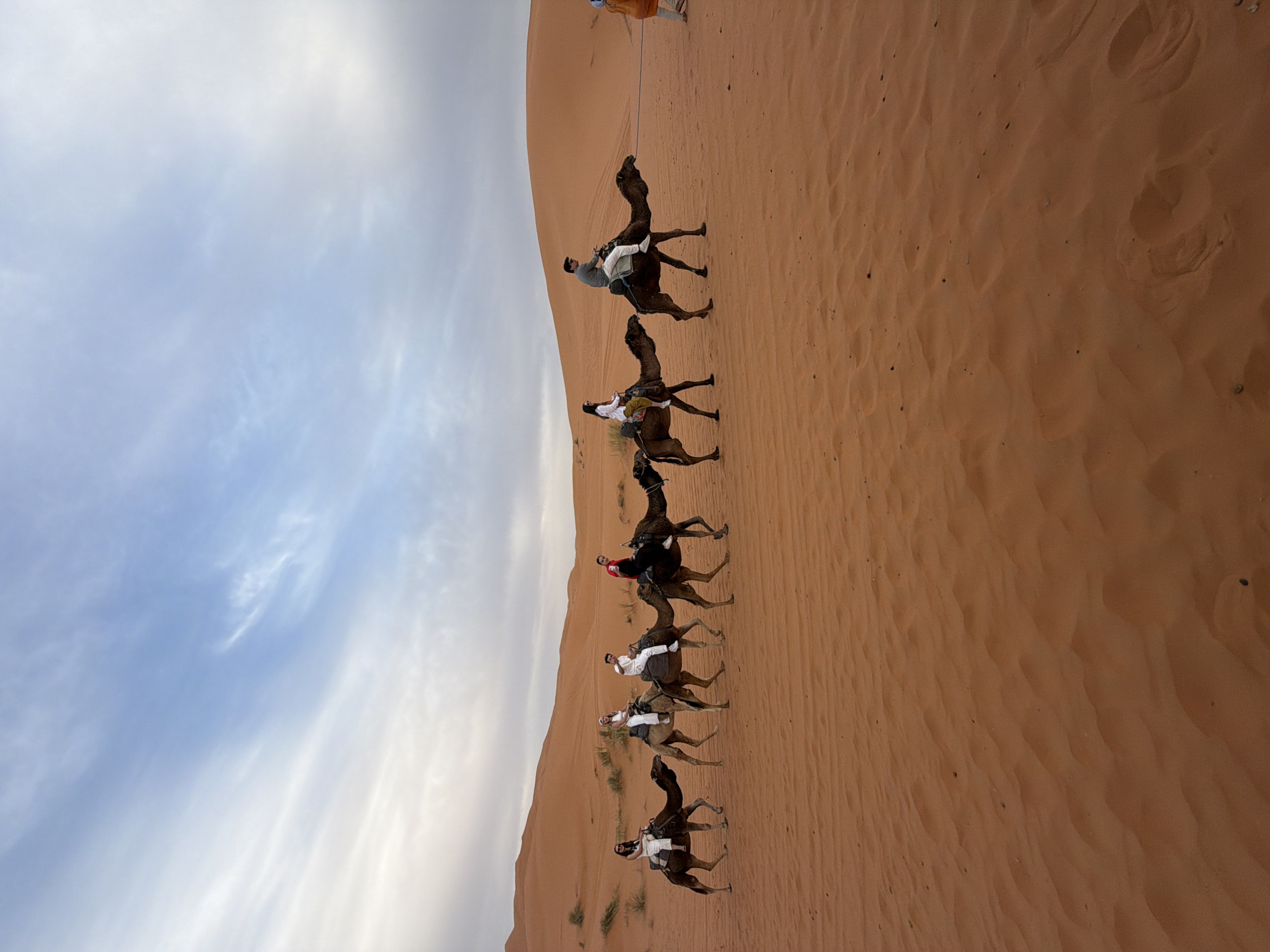 Tourists enjoy camel trek through Rissani desert dunes