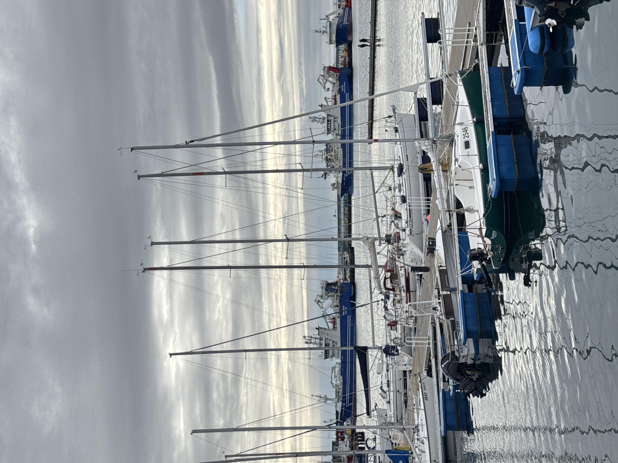 Witness captures everyday Reykjavik harbor and street scenes