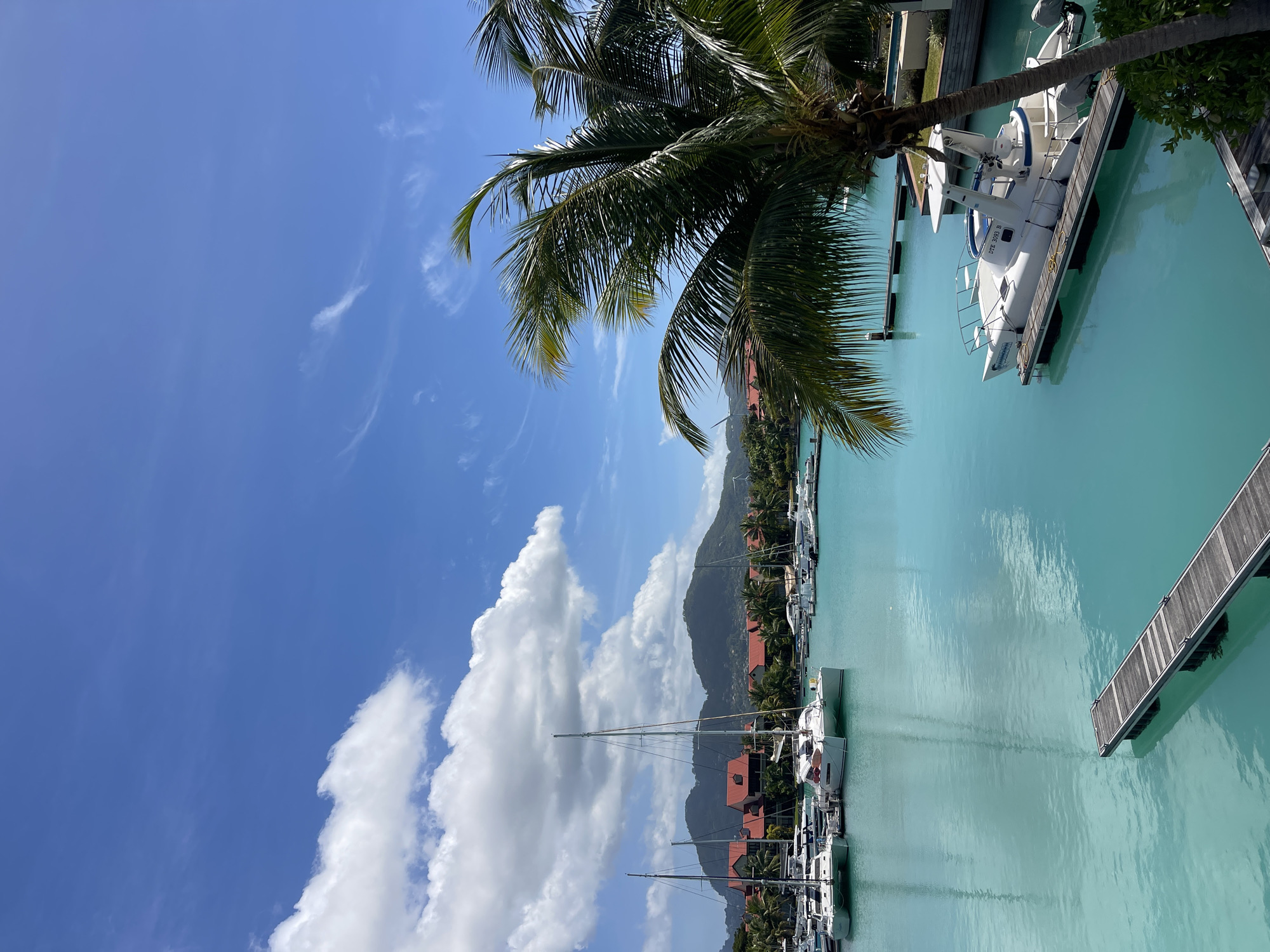 Marina life and tropical scenery across the Seychelles coast