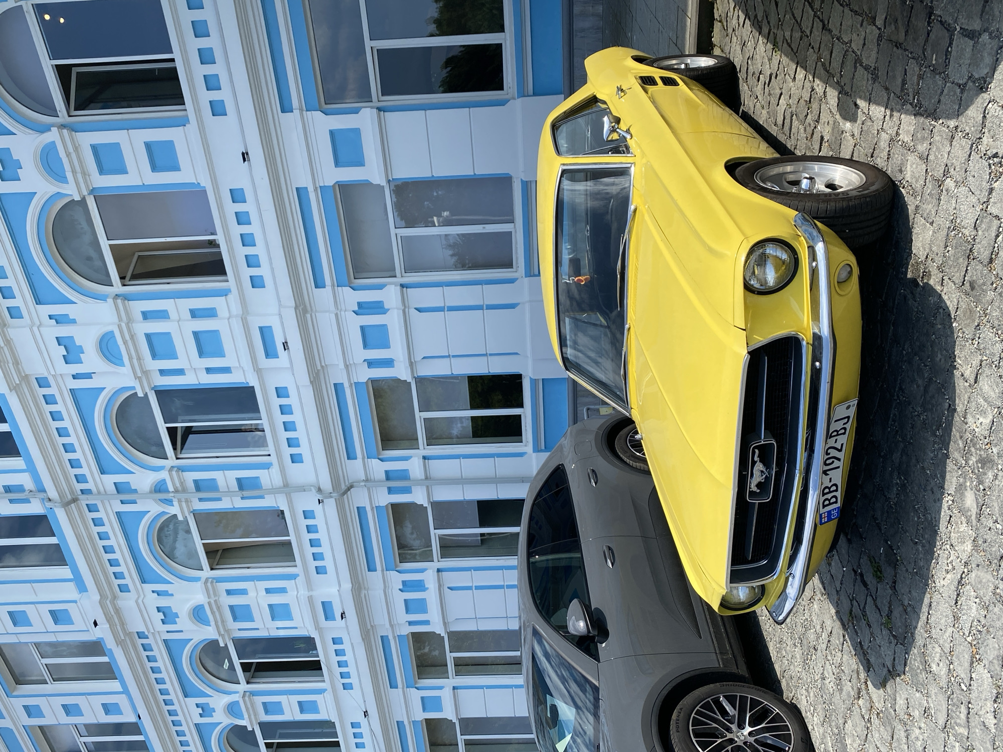 Street-level Batumi on a summer morning, architecture to stray dogs