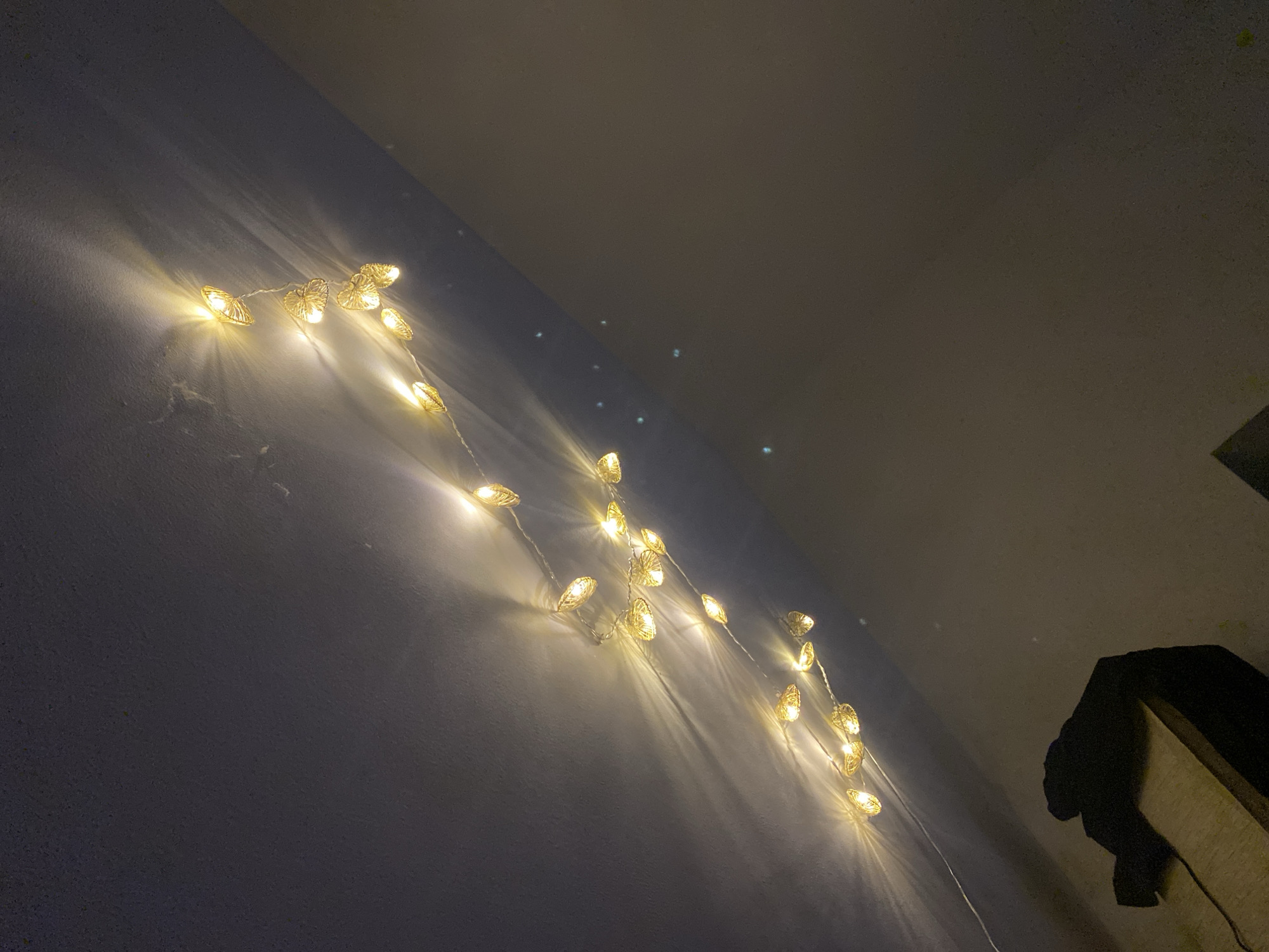 Grey cat, fairy lights, and Paris gifts in a Koblenz home